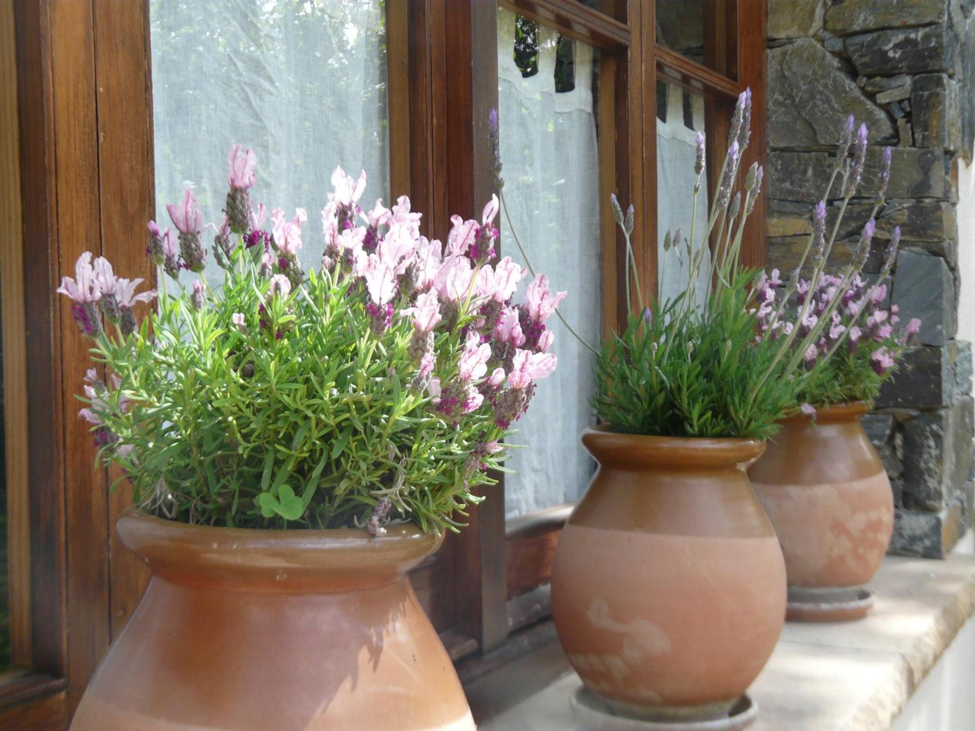 Can Barrina Montseny Exterior photo